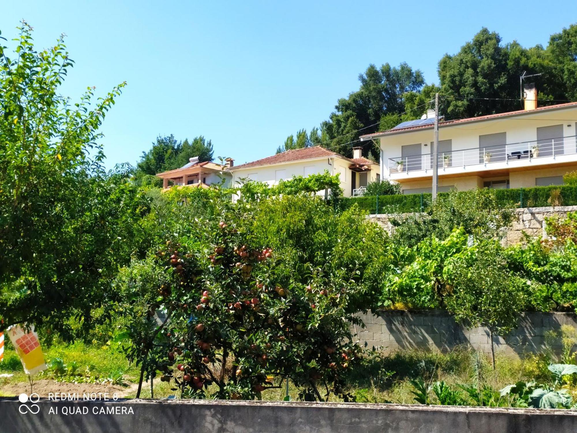 Bellavista Alojamento Arouca Exterior foto